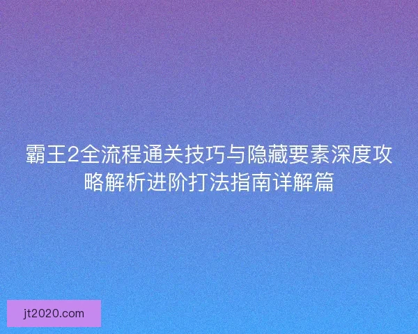 霸王2全流程通关技巧与隐藏要素深度攻略解析进阶打法指南详解篇